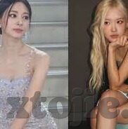 91 麻豆 天美 果冻 星空-各界视角下的现代网络文化，91 麻豆、天美、果冻与星空的交融