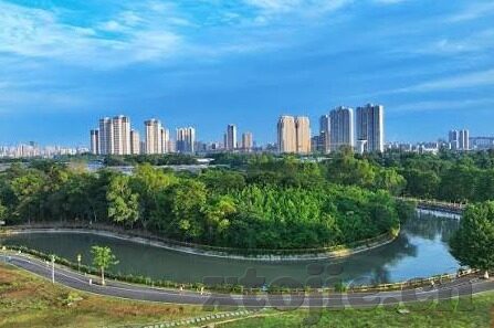 大象传媒短视频怎么样-大象传媒短视频，创新与挑战并行的内容新势力