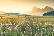 大象传媒有限公司招聘-大象传媒有限公司，创意与激情的汇聚——诚邀您的加入