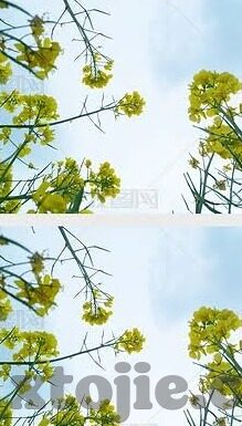 伦理动画片-伦理动画片的艺术魅力与教育价值