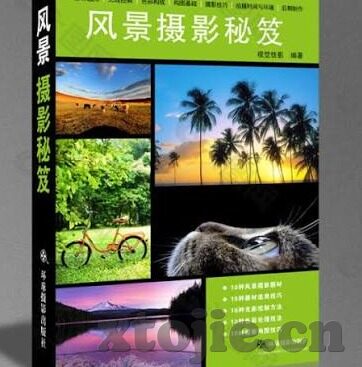 麻豆传谋 大象传媒-文题，麻豆传谋与大象传媒，淤泥中的璀璨光点