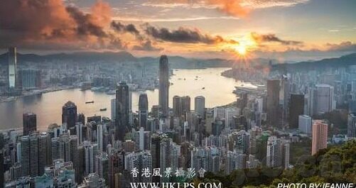 糖心vlog网址入口-探索糖心Vlog的魅力，深入了解新时代的网络视频分享